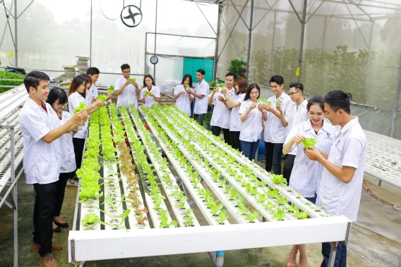 Xét học bạ Tài nguyên và Môi trường Hướng dẫn chi tiết cho thí sinh